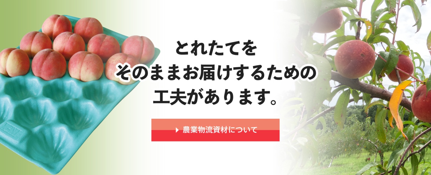 とれたてをそのままお届け
